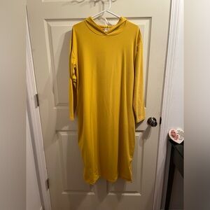 Nuggles Hoodie Dress